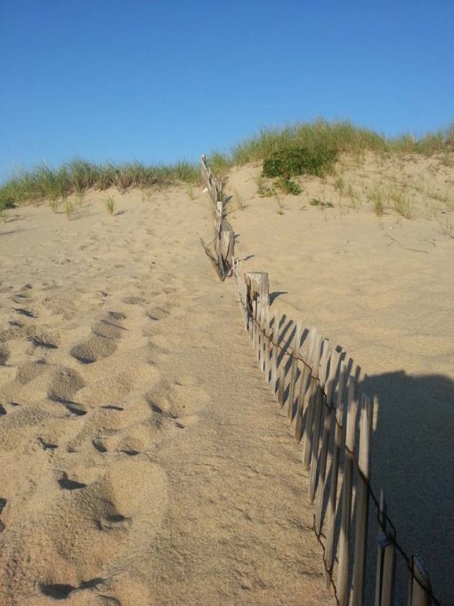 Sand Duns and a Fence_001
