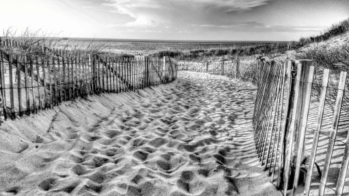 Sand fence_001 B&W