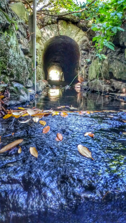 Arnold Arboretum Cave