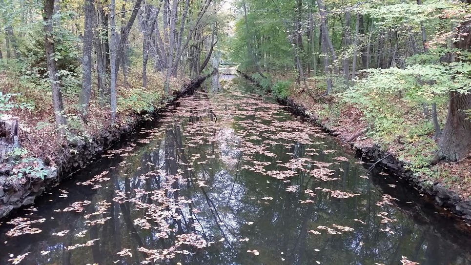 Blackstone River Reflection