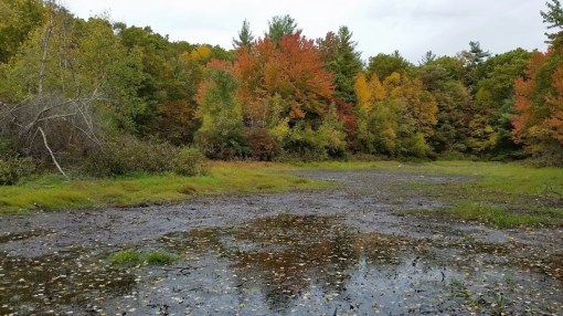 Pergatory Chasm Reflection
