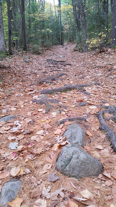 Pergatory Chasm Trail Walk